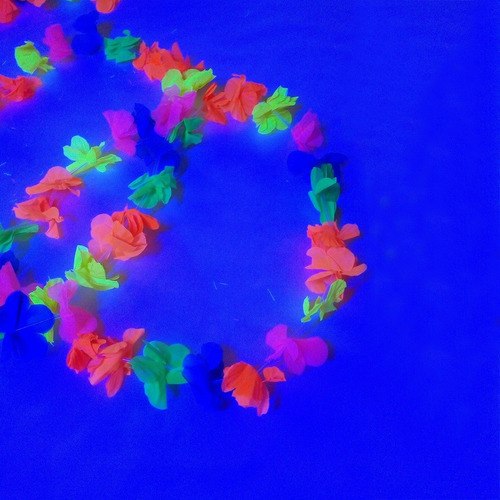 Imagen 4 de 9 de Collar Hawaiana Hora Loca Neon