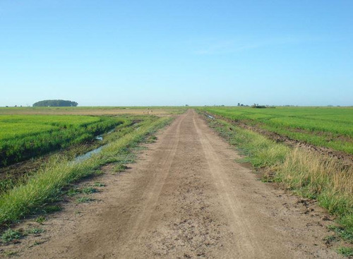 Campo De 346 Has En Treinta Y Tres. Agrícola - Ganadero!