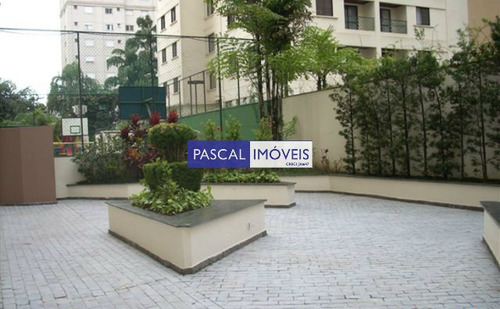 Imagem 11 de 13 de Apartamento Vila Mascote 02 Dormitorios 01 Vaga - V-16947