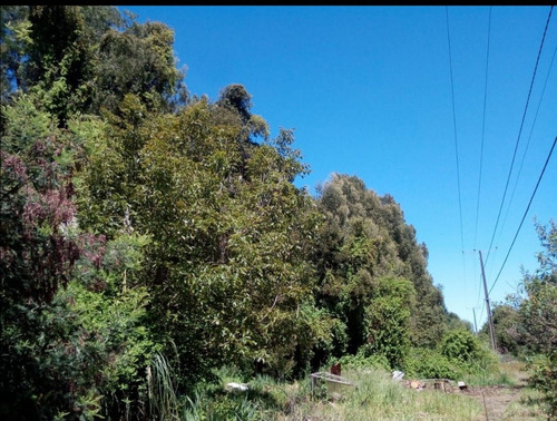 Parcela En Venta, 23.000 Mts2, Nueva Imperial