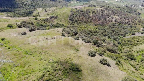 Imagen 7 de 10 de Terreno El Roble