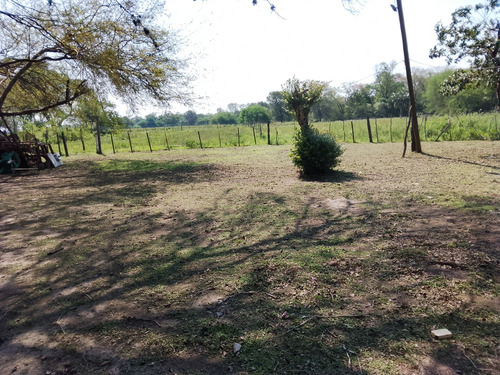 Quinta