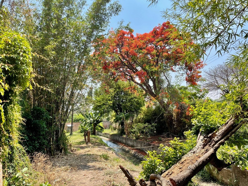 ¡oportunidad Gran Terreno En Yautepec, Morelos!