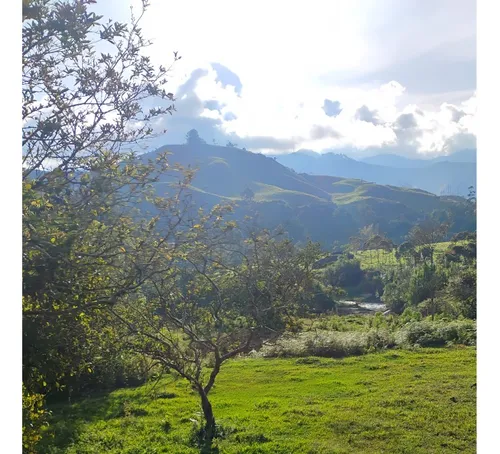 Lotes En Concepcion Planos Con Acceso Al Rio
