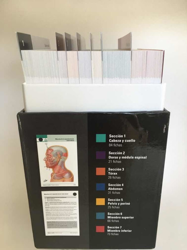 Netter Flash Card De Anatomia 5a Ed Originales Y Nuevas