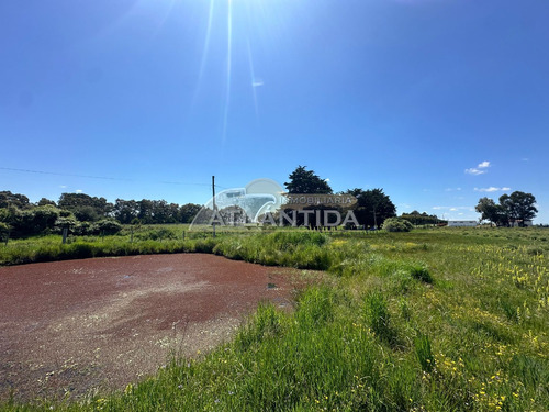 Venta De Hermoso Campo, A 5 Minutos De Atlántida Y Metros De Ruta 11. Inm Atlántida.