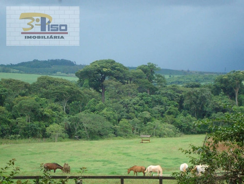 Imagem 11 de 11 de Fazenda Em Centro - Campinas - 2057