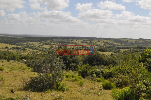 Imagen 9 de 30 de Venta Campo Ubicado En Garzón