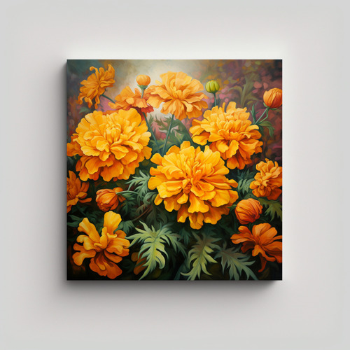 50x50cm Arte Minimalista A Marigold Herbs Bastidor Madera