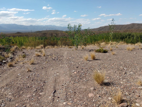 Se Vende Lote En Lujan De Cuyo, Mendoza