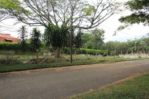 Lote En Venta En Pance. Cod V10294