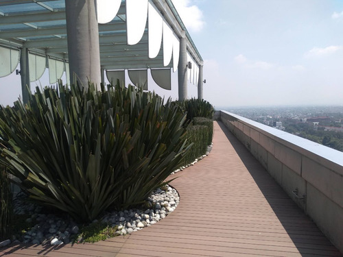 Álvaro Obregón Oficinas Ejecutivas Renta