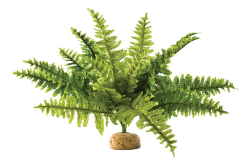 Planta De Terrario Exo Terra, M, Boston Fern