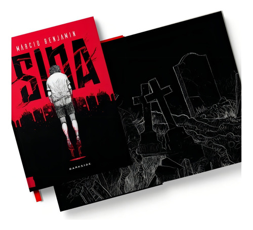Livro - Sina - Novo/lacrado