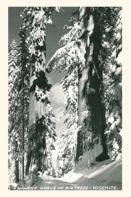 Libro Vintage Journal Wawona Grove Of Big Trees, Yosemite...