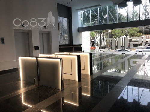 Imagen 17 de 19 de Renta - Oficina - Insurgentes Sur - 720 M2 - Piso 1