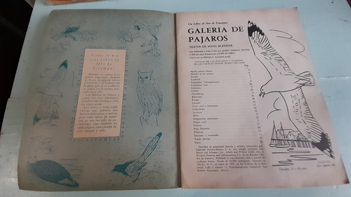 Álbum Figuritas Completo Galería De Pájaros De México (Usado)