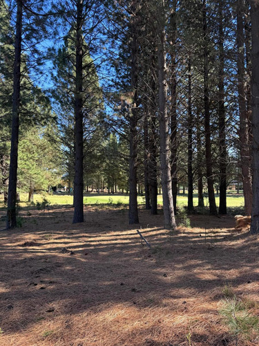 Terreno En Barrio Chapelco Golf