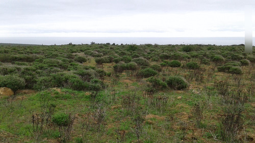 Se Vende Terreno De 5000mts A Espectacular Precio.