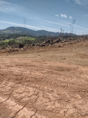 Imagem 13 de 15 de E.c/ O Nosso Terreno Te Espera