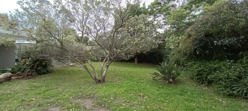 Venta Terreno 430m2 Con Titulos E Impuesto Al Dia En Pinares De Atlantida