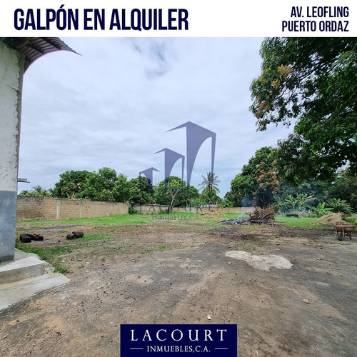 Imagen 6 de 10 de Amplio Terreno Con Galpón Ubicado En La Av. Loefling - Sector La Esperancita #al