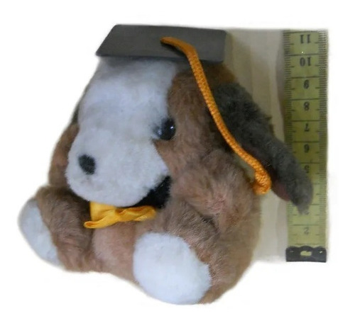 Peluche Egresado Perro Con Birrete Tamaño Chico (Usado)