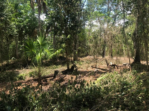 Lote En Venta En La Ruta De Los Cenotes. Qta. Roo.