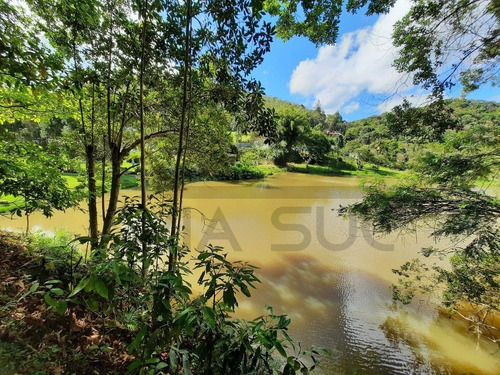 Imagem 12 de 30 de (24.000 M²) Belo Sitio À Venda Em Juquitiba/sp, Com Lago, Piscina, Salão De Festas E Trilhas Para Caminhar E Contemplar A Natureza. - 89 - 70390936