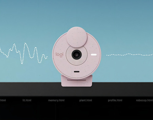 Webcam Logitech Brio 300 Grafito 2mp/30fps Color Rosa