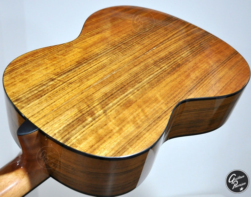 Guitarra Criolla Concierto Modelo Fonseca Funda Segovia E180