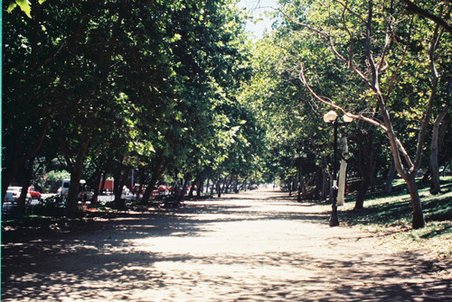 Rollo 110 Lomography Tiger color 24 exposiciones