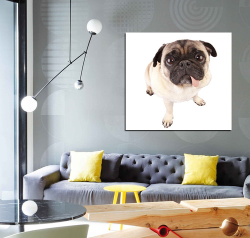 Cuadro 45x45cm Perrito Pug Lengua Dog Bff Perro Pet Lover