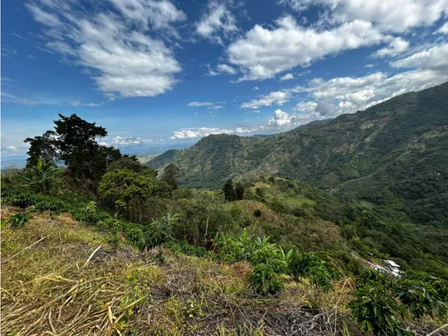 Se Vende Finca En Barragán
