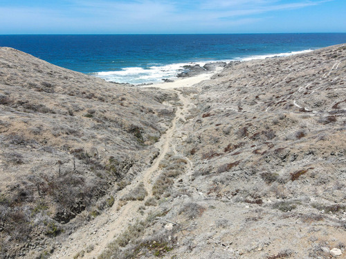 Beachfront Cove