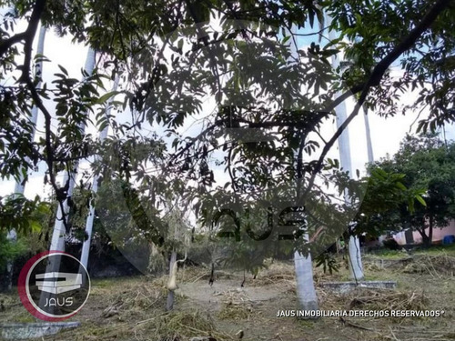 Terreno En Venta