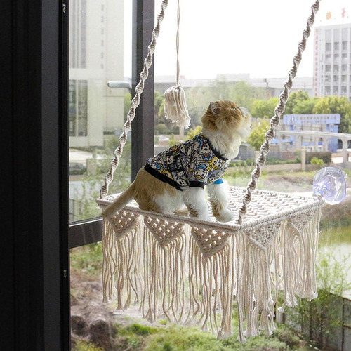 Ventana De Gato Penca De La Ventana Del Gato Asiento De