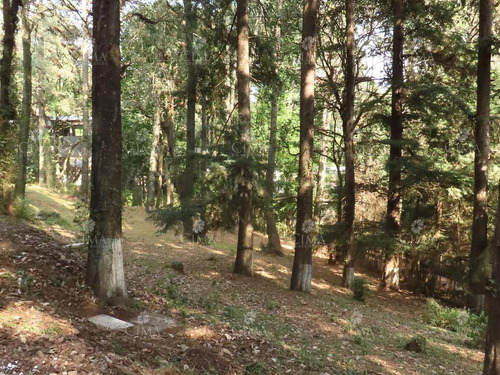 Imagen 3 de 14 de Venta Terreno En Fraccionamiento San José De La Montaña - T41
