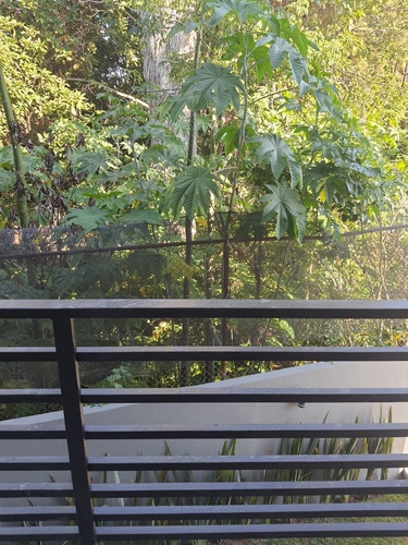 Imagen 12 de 14 de Departamento En Venta En Torre Privee Colomos