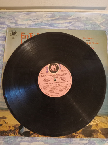Vinilo Lp En Tu Piel Los Mh Positivos Vol.12 33 Rpm Usado Estándar (Usado)
