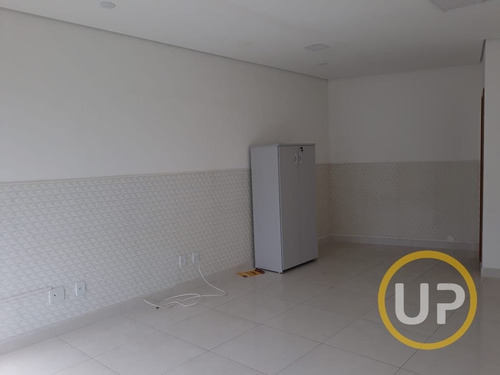 Imagem 9 de 15 de Sala Em Castelo - Belo Horizonte, Mg - 11411