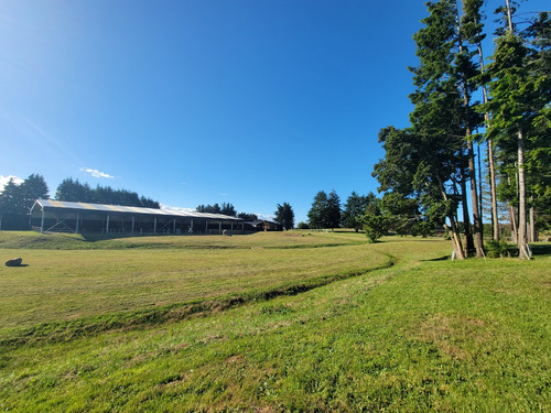 Espectacular Parcela Con Bosque En Condominio Las Tranqueras