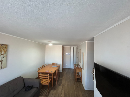 Departamento Cerca U De Concepción