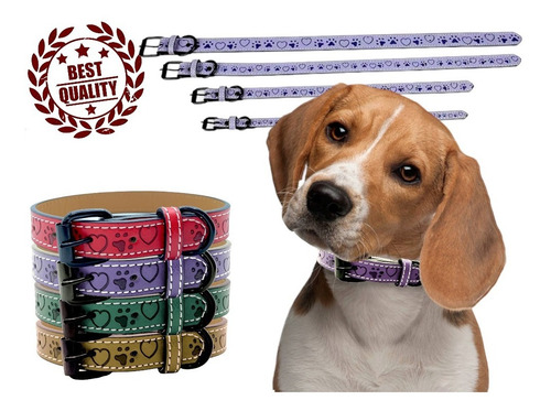Collar Para Perros Raza Ch Med Y Gde Tipo Piel Ajustable Color Morado Tamaño del collar Extra Chico ECh/XS