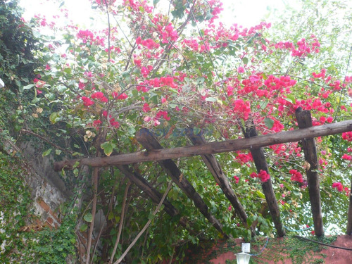 Imagem 16 de 16 de Casa À Venda Em Parque Industrial - Ca212083