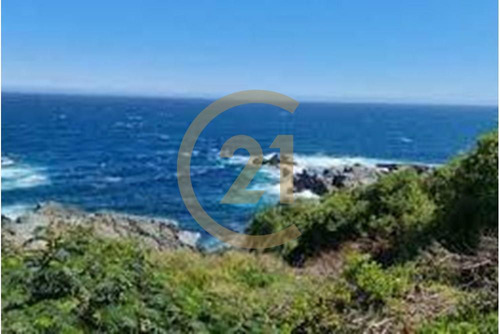 Hermosa Parcela Entre Tongoy Y Los Vilos.