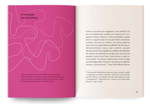 Patos E Lobos-marinhos: Conversas Sobre Literatura E Juventude - 1ªed.(2021), De Sara Bertrand. Editora Solisluna Design, Capa Mole, Edição 1 Em Português, 2021
