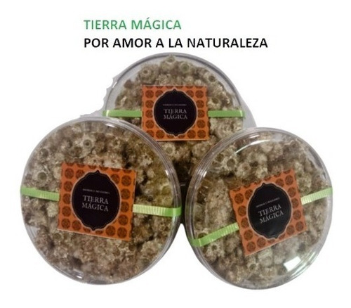 Gordolobo Flor, Té Orgánico, Caja C, 3 Pack, 150 Gr