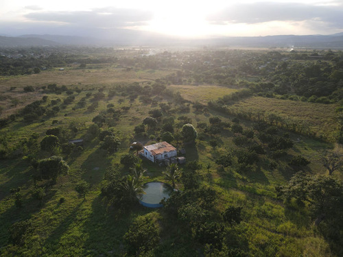 Imagen 10 de 24 de Granja En Venta Yaritagua 12 Hectareas Cod. 23-17577