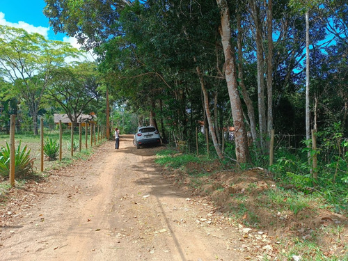 Terreno Em Itacaré 3000m² , Vista Da Mata, Escriturado, Para Pousada